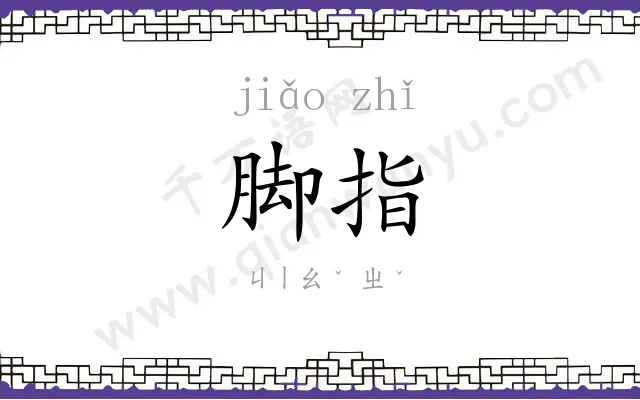 脚指