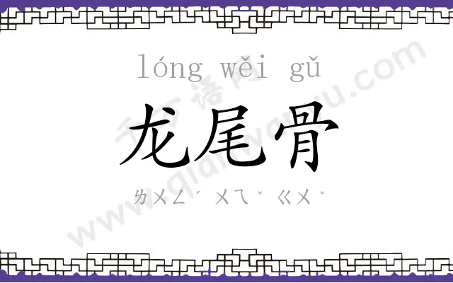 龙尾骨