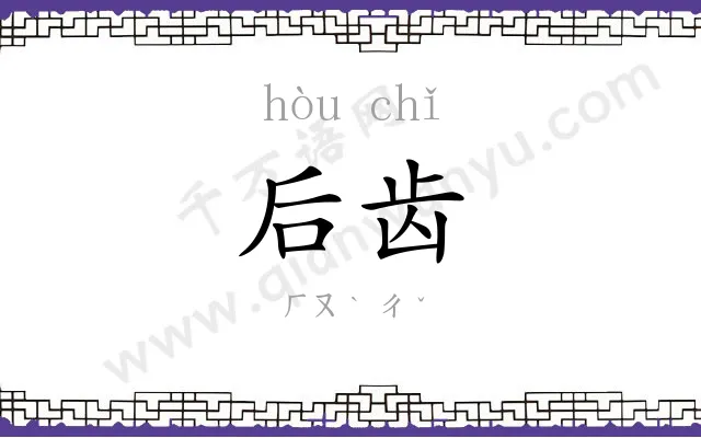 后齿