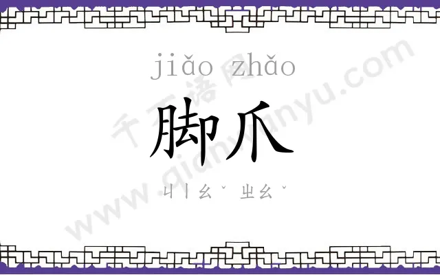 脚爪