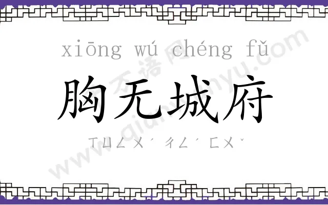 胸无城府