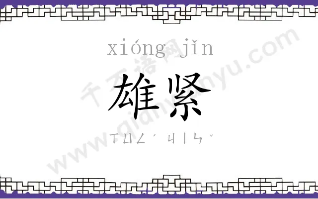 雄紧