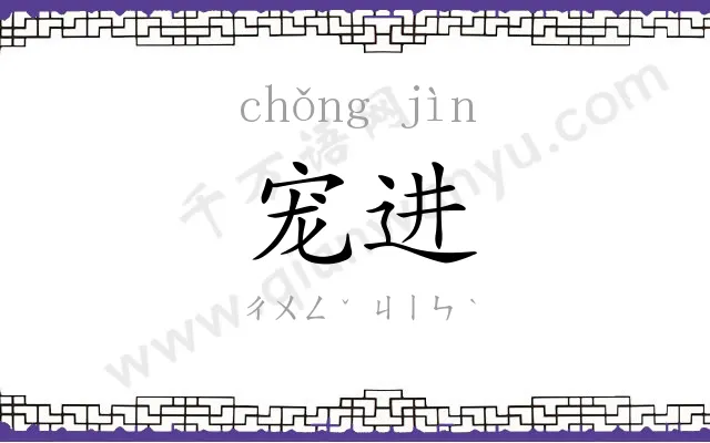 宠进