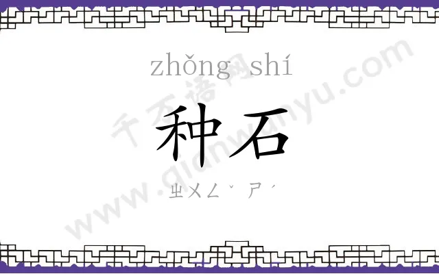 种石