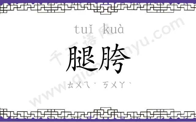 腿胯