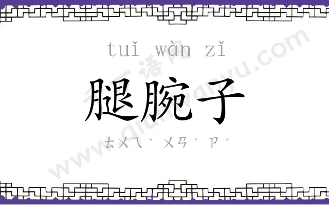 腿腕子