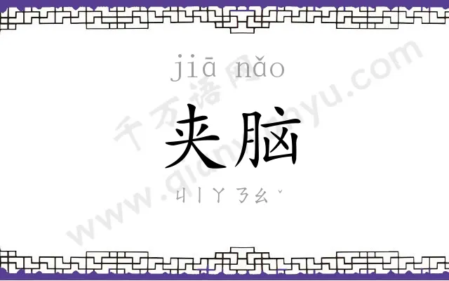 夹脑