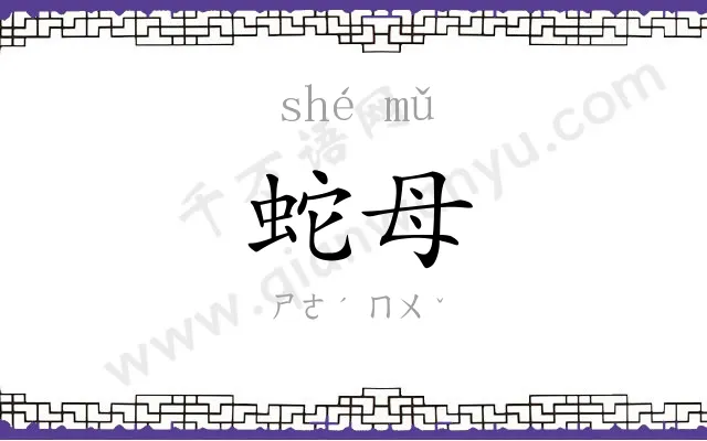 蛇母