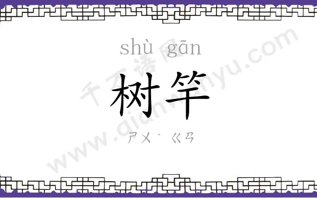 树竿