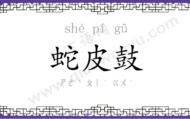 蛇皮鼓