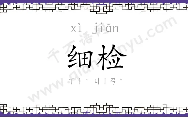 细检