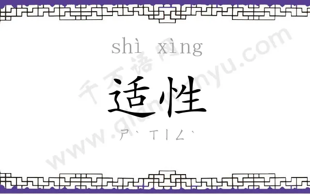 适性