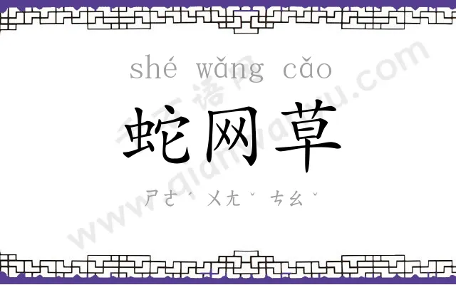 蛇网草