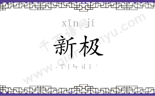 新极