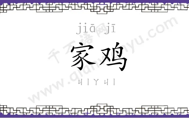 家鸡