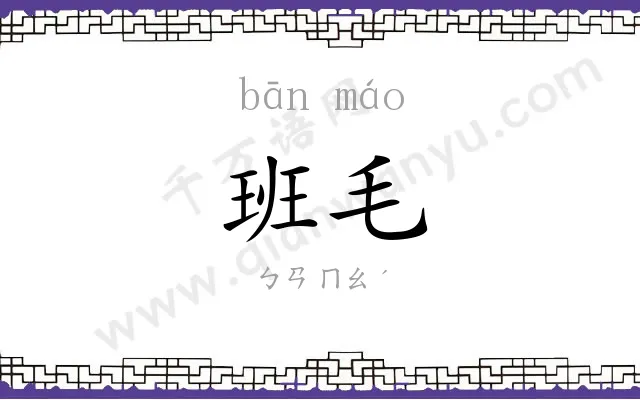 班毛