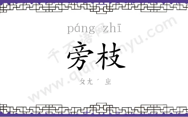 旁枝
