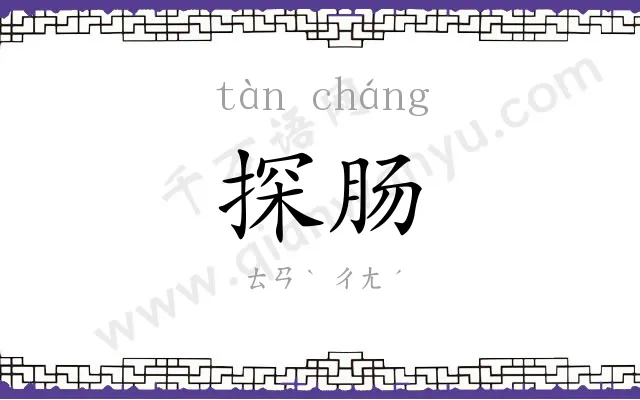 探肠