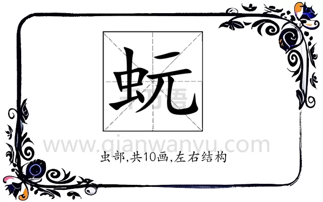 蚖