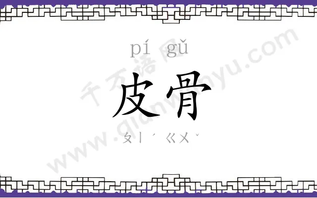 皮骨