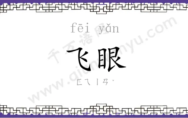 飞眼