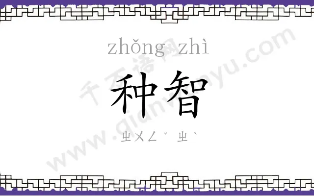 种智