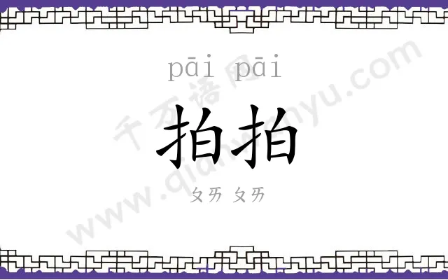 拍拍