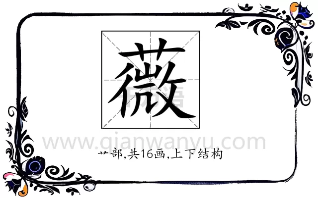 薇