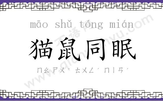猫鼠同眠