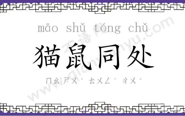 猫鼠同处