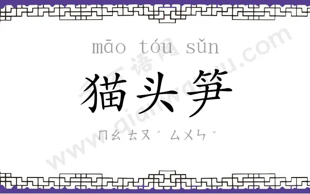 猫头笋
