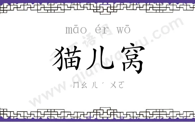 猫儿窝