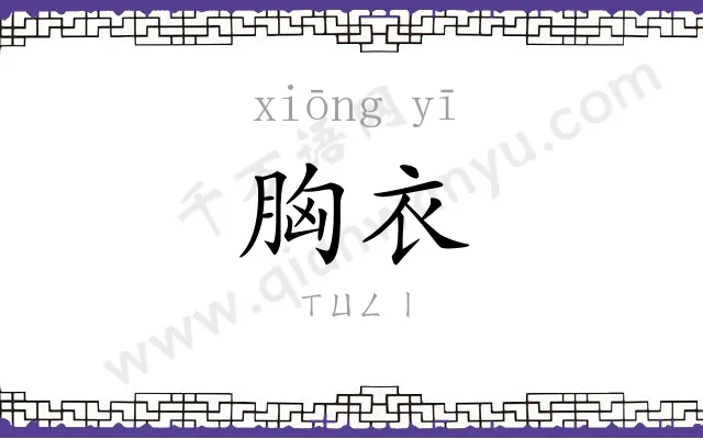 胸衣