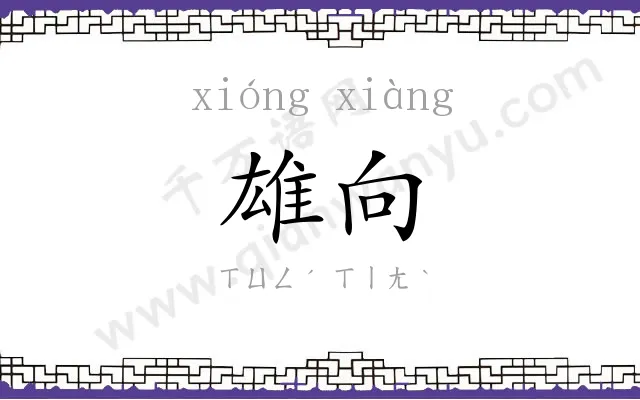 雄向