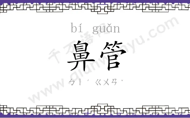 鼻管