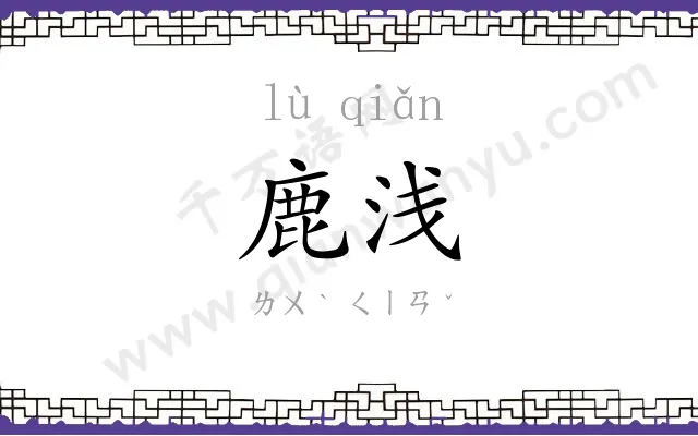 鹿浅