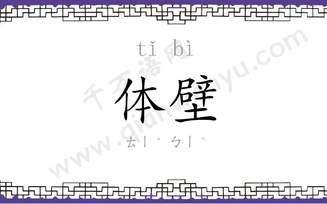 体壁
