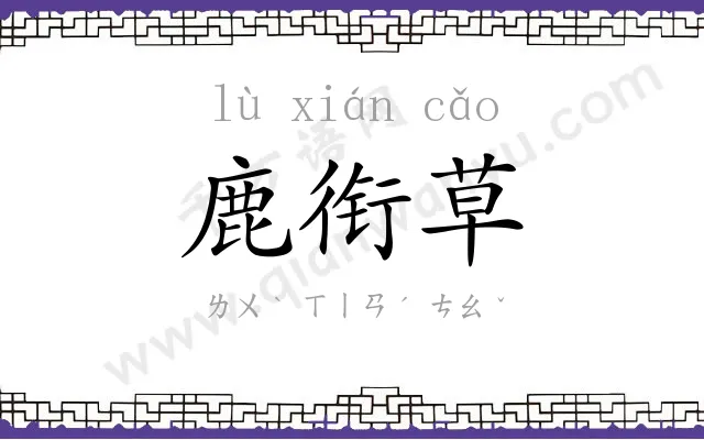 鹿衔草