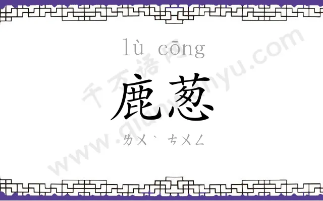 鹿葱
