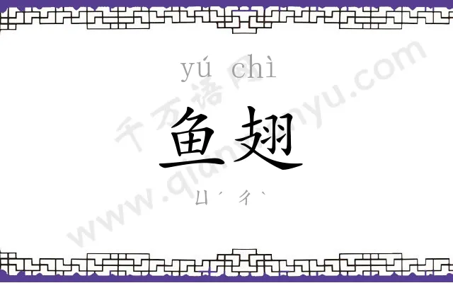 鱼翅