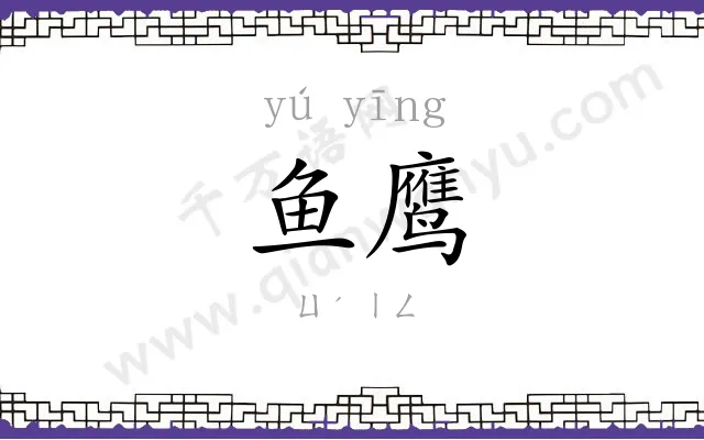 鱼鹰