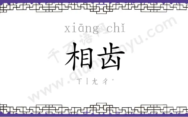 相齿