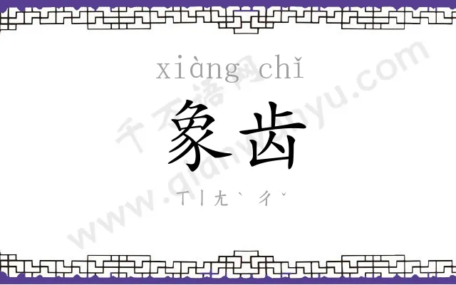 象齿