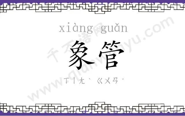 象管