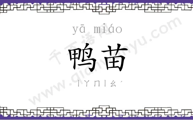 鸭苗