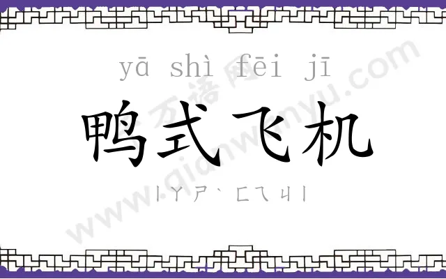 鸭式飞机
