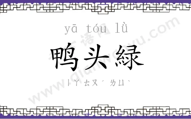 鸭头緑