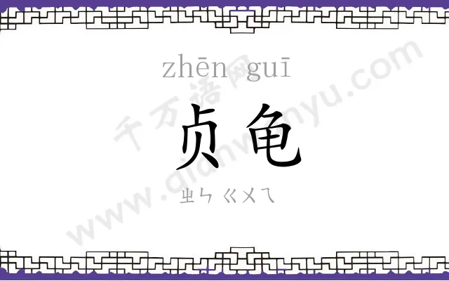 贞龟