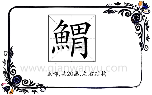 𩹂
