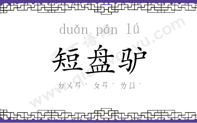 短盘驴